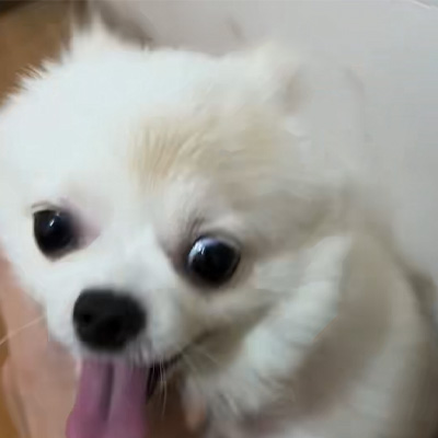 வெட்மெடிக்ஸ் கேஸ் ஷேரிங்