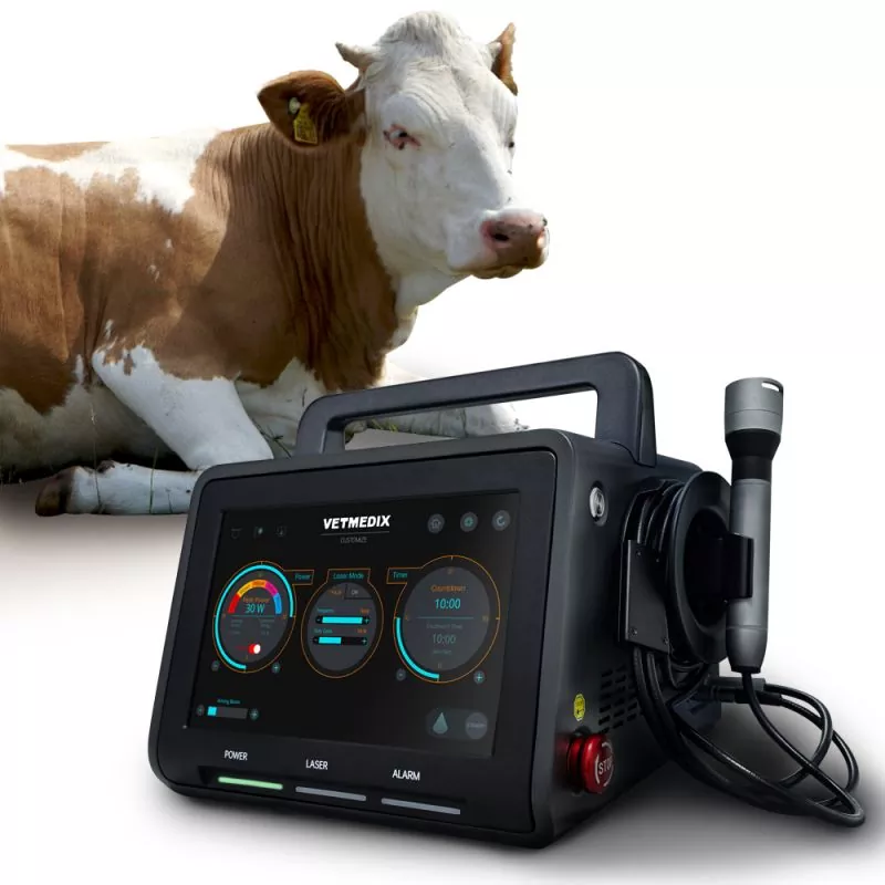 Veterinary Laser